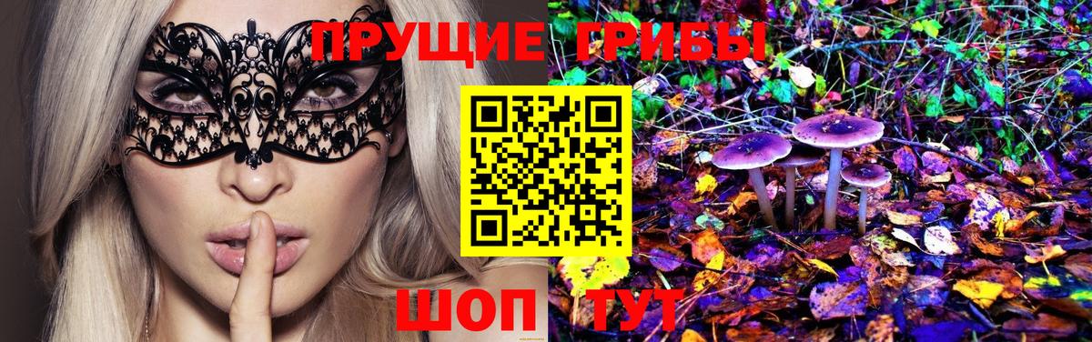 дарнет шоп  Галлюциногенные грибы Psilocybe  Вход с VPN  Ленинск-Кузнецкий 
