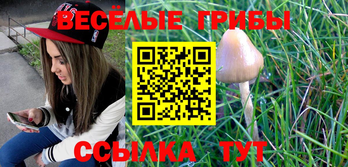 Галлюциногенные грибы Cubensis Ленинск-Кузнецкий